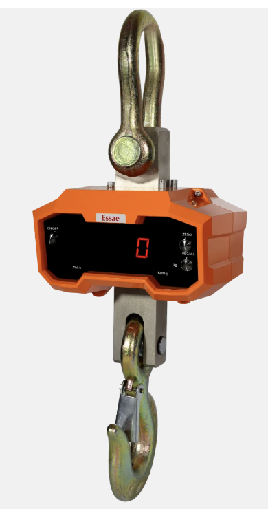 DS-350 crane scale